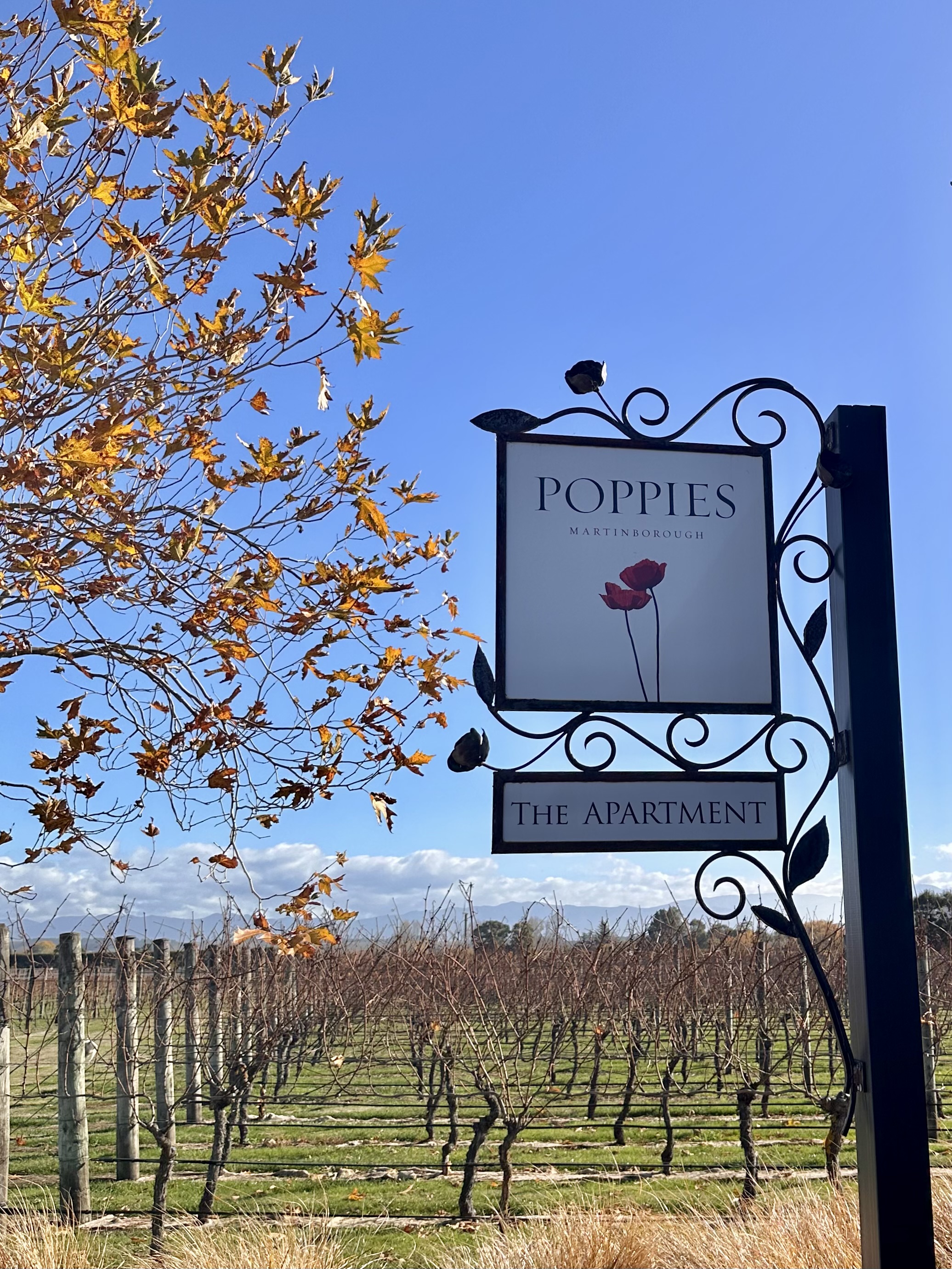 Martinborough punches way above its weight