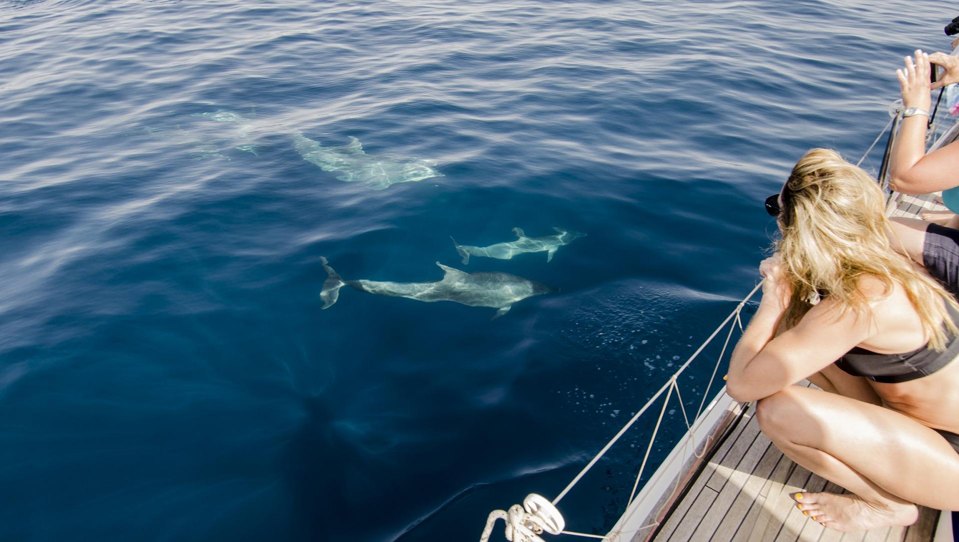 Copyright Canadian Traveller 2020. All Rights Reserved.