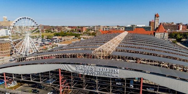 St. Louis Welcomes New Aquarium At Union Station