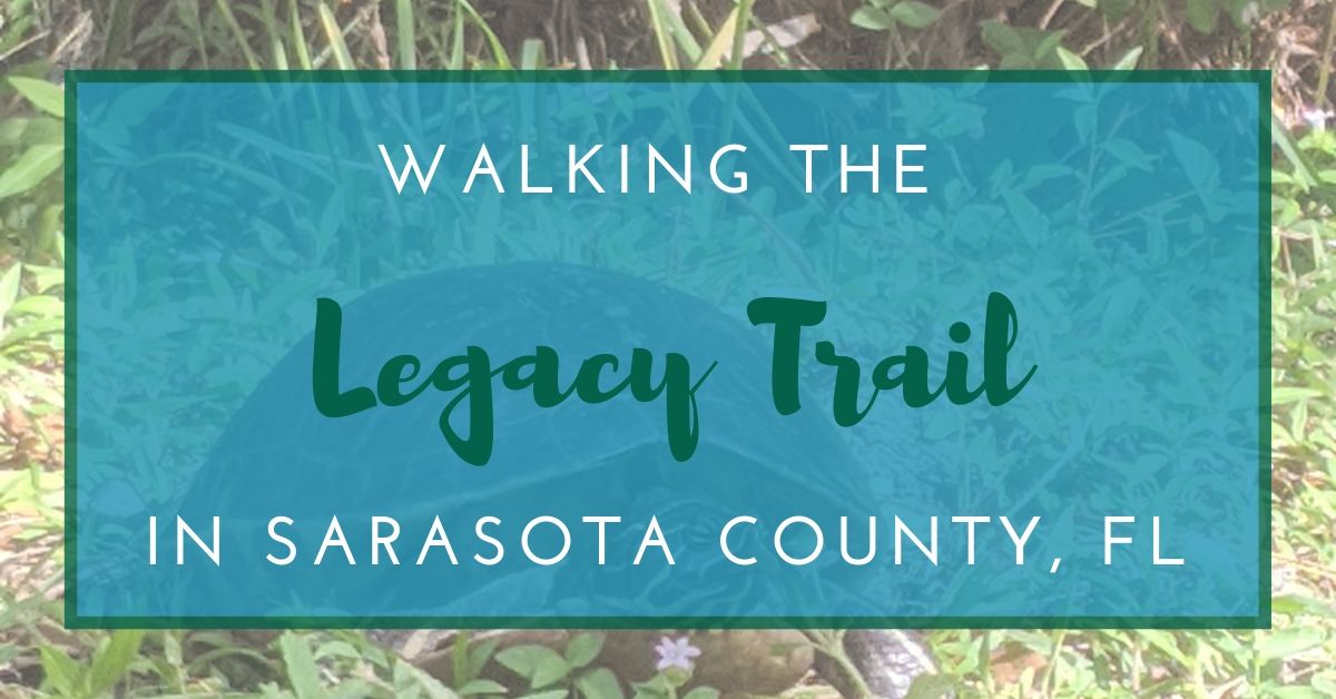 Walking the Legacy Trail in Sarasota County